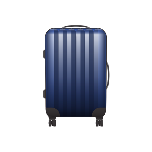 Travel Bag 1